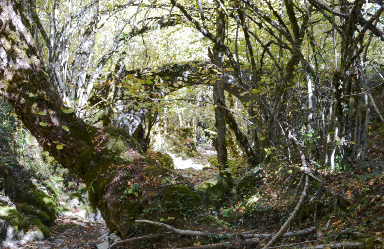 Stone-Bridge